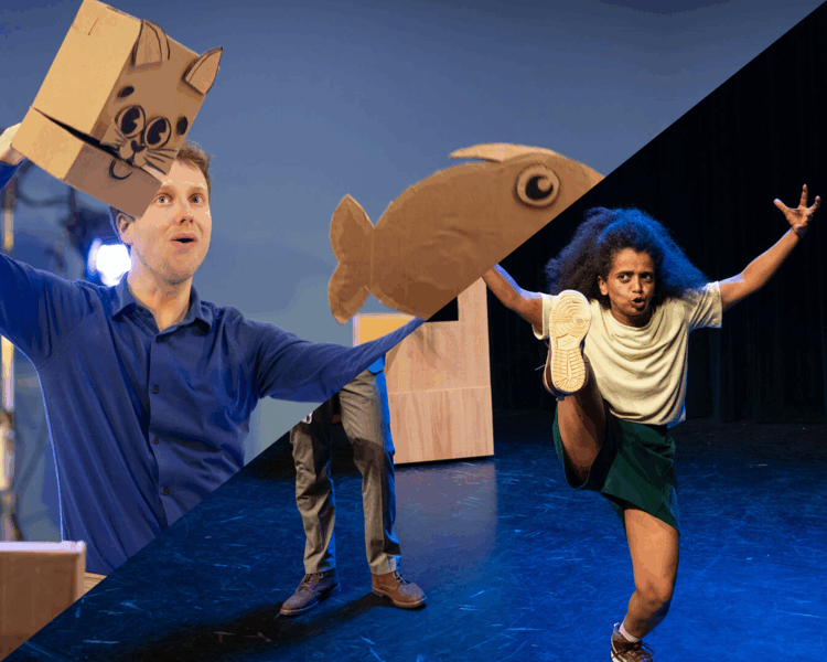 Theatervoorstellingen (3+)