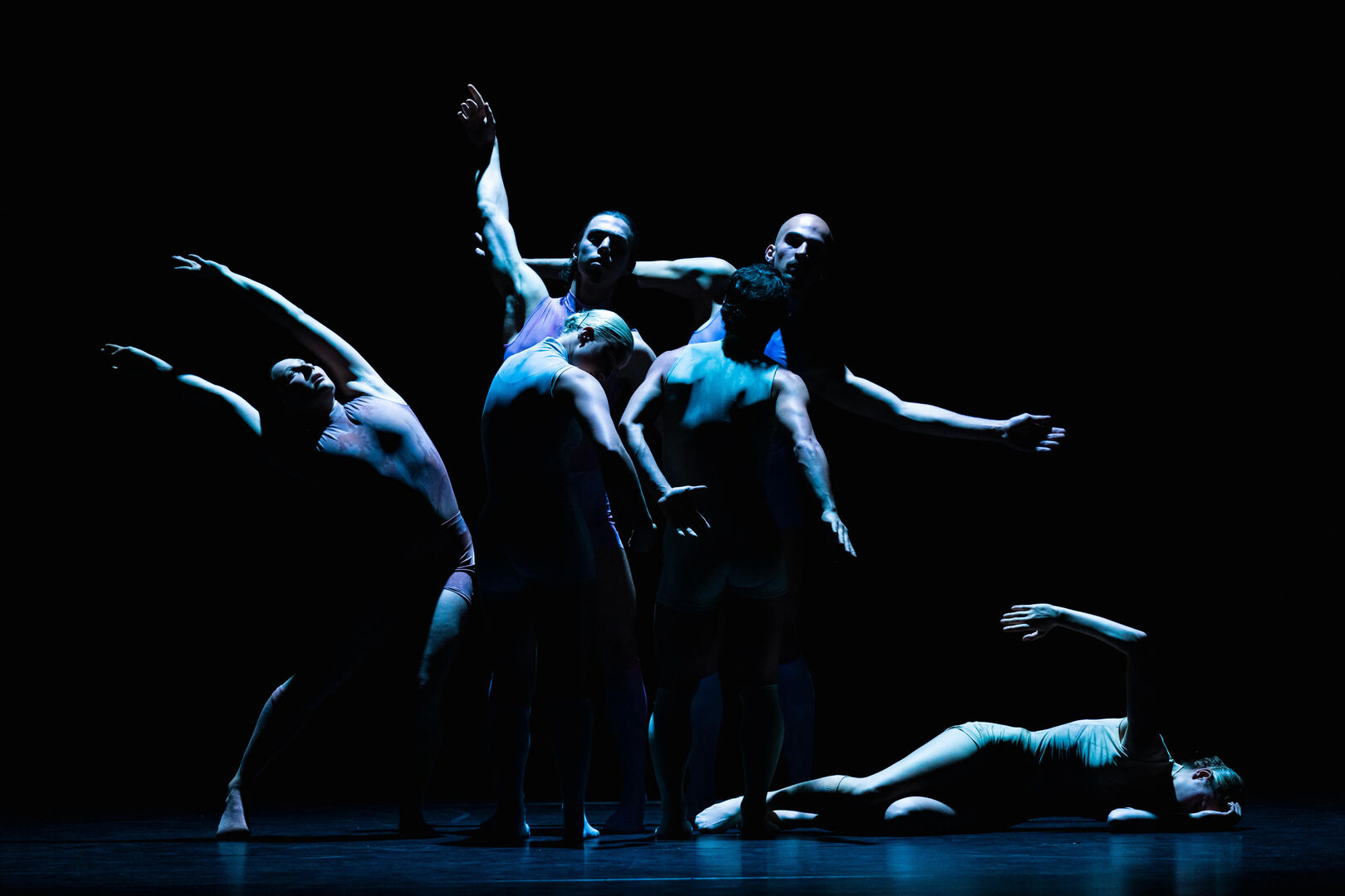 TOTM_Codarts-Foto_De_Schaapjesfabriek