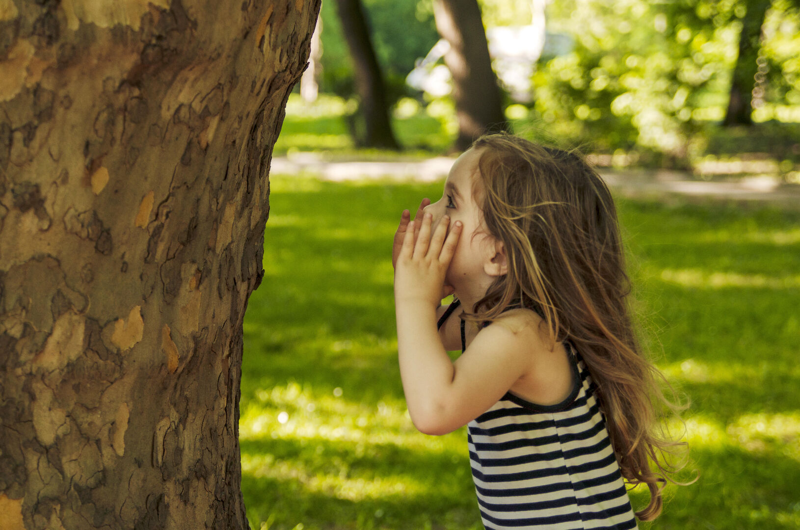 Versta jij een boom?