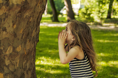 Versta jij een boom?
