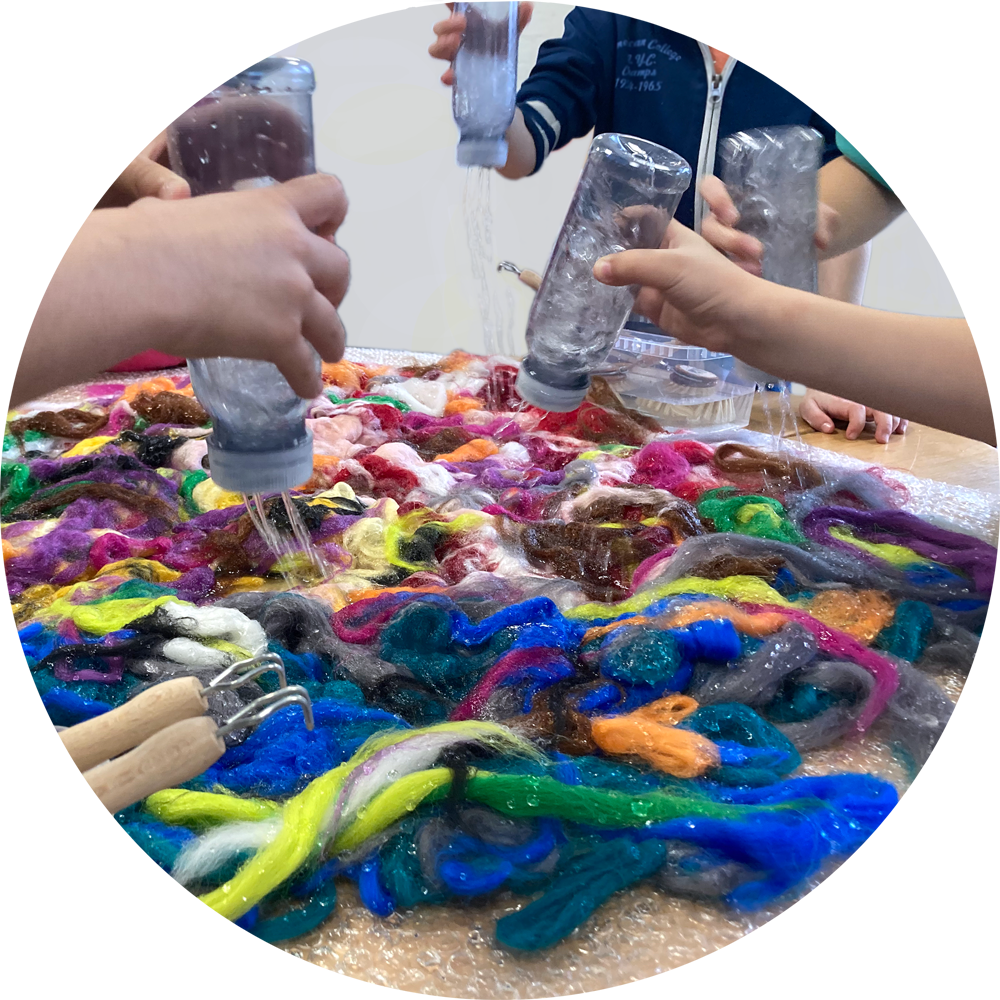 Viltavontuur: het modeschaapje