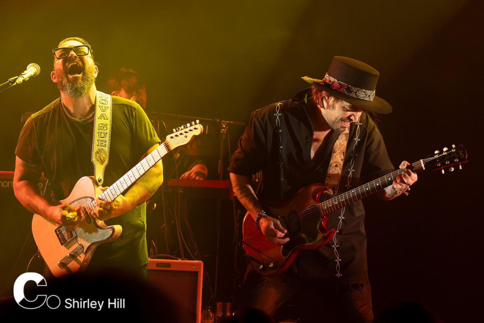 Waylon 26-10-2024 (19 van 29)