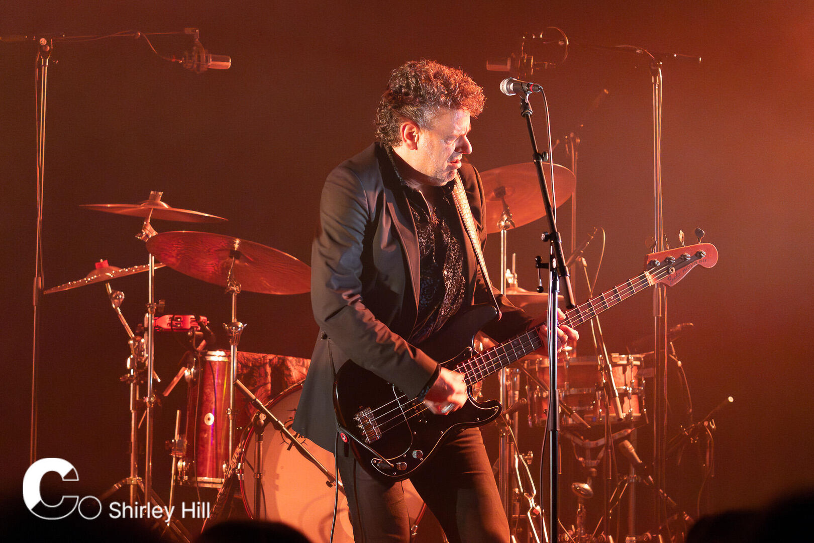 Waylon 26-10-2024 (20 van 29)