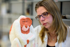 Werkplaats keramiek verlenging