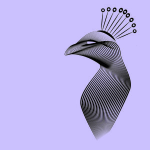 Wie maakt die signalen